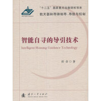 智能自寻的导引技术