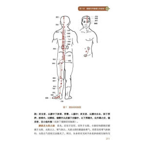手到病除之经络养生