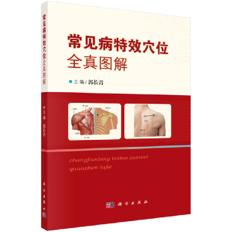 常见病特效穴位全真图解