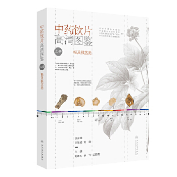  中药饮片高清图鉴