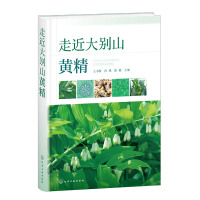 走近大别山黄精