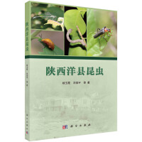 陕西洋县昆虫