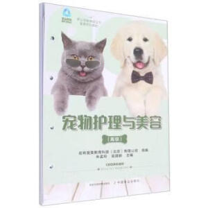 宠物护理与美容,