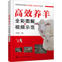 畜禽高效养殖全彩图解＋视频示范丛书--高效养羊全彩图解+视频示范