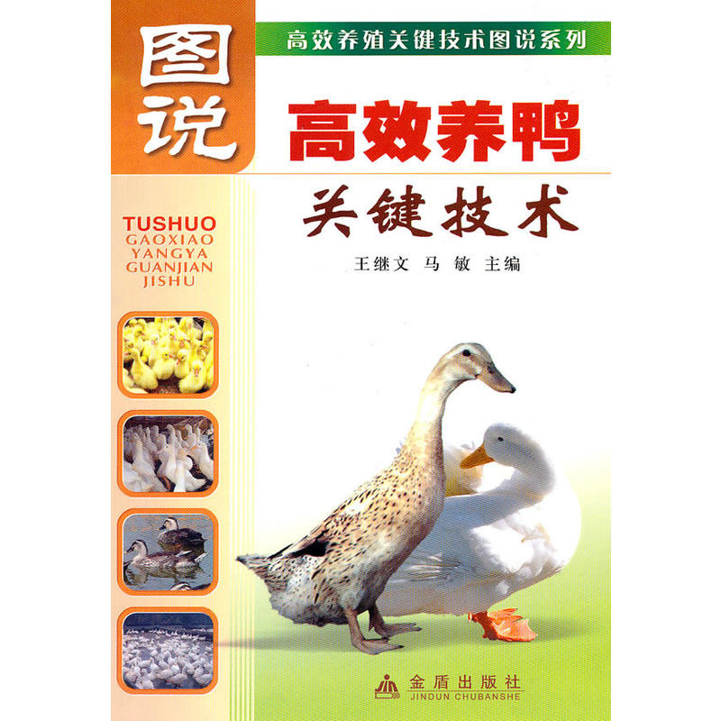 图说高效养鸭关键技术