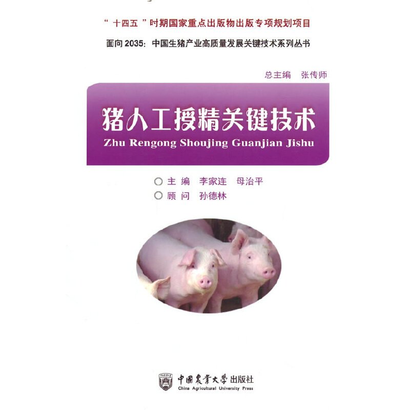 猪人工授精关键技术