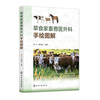 草食家畜兽医外科手绘图解