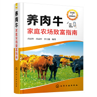 养肉牛家庭农场致富指南