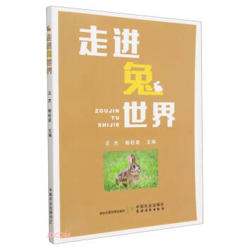 走进兔世界