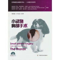 小动物胸部手术