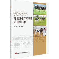 奶公牛育肥饲养管理关键技术