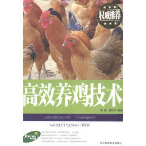 高效养鸡技术