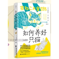 如何养好一只猫