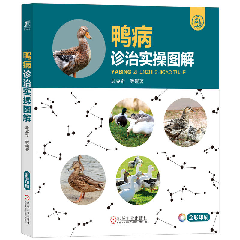 鸭病诊治实操图解