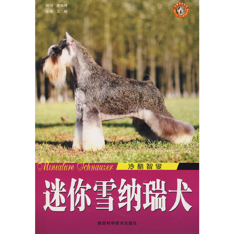 迷你雪纳瑞犬冷酷智叟