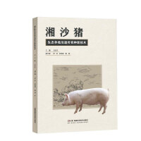 湘沙猪生态养殖及遗传育种新技术