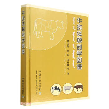 牛实体解剖学图谱