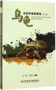 乌龟这样养殖就赚钱