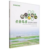 祁连山典型灌丛生态系统研究