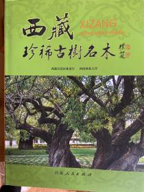 西藏珍稀古树名木