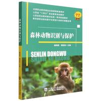 森林动物识别与保护