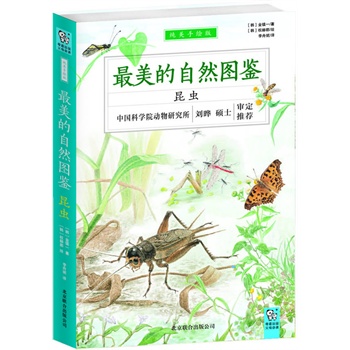 最美的自然图鉴—昆虫（国内首部词典型少儿科普图鉴，为中小学生量身打造，中科院动物研究所刘晔硕士审校推荐）