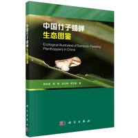 中国竹子蜡蝉生态图鉴