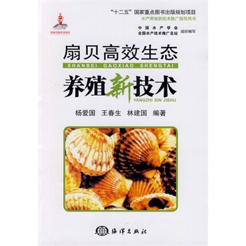 扇贝高效生态养殖新技术