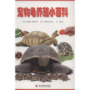宠物龟养殖小百科