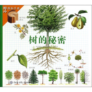 树的秘密/野外探秘手册