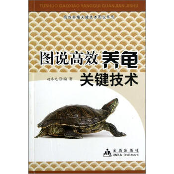 图说高效养龟关键技术