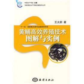 黄鳝高效养殖技术