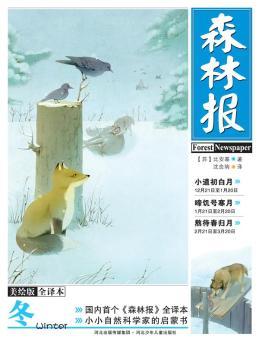森林报·冬（美绘全译本）