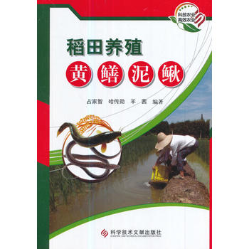  稻田养殖黄鳝泥鳅