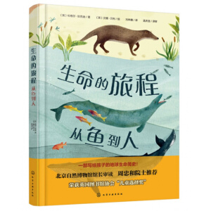 生命的旅程：从鱼到人