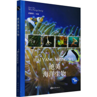 绝美海洋生物