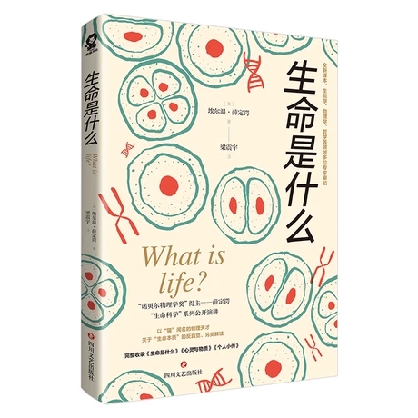 生命是什么