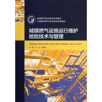 城镇燃气设施运行维护抢险技术与管理