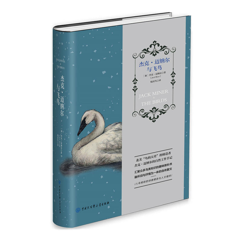 杰克？迈纳尔与飞鸟