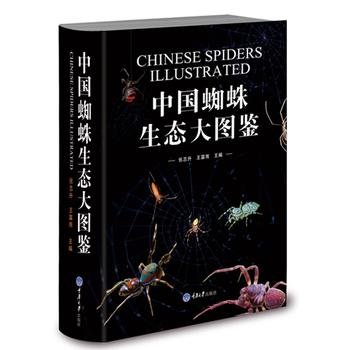  中国蜘蛛生态大图鉴