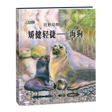 矫健轻捷——海狗