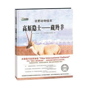 高原隐士——藏羚羊