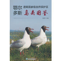 鄂尔多斯遗鸥国家级自然保护区鸟类图鉴