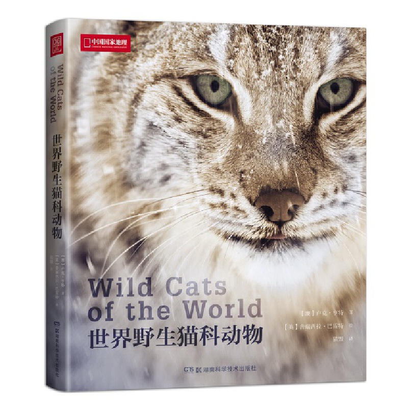 世界野生猫科动物