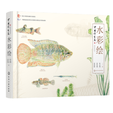 中国原生鱼水彩绘