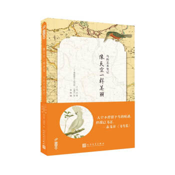 像天空一样美丽：鸟的艺术笔记