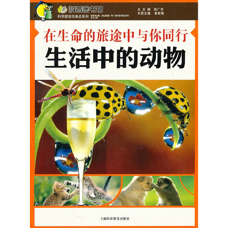 在生命的旅途中与你同行—生活中的动物