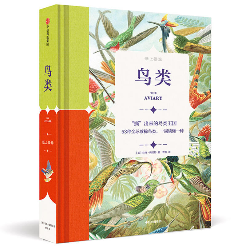 纸上景观：鸟类