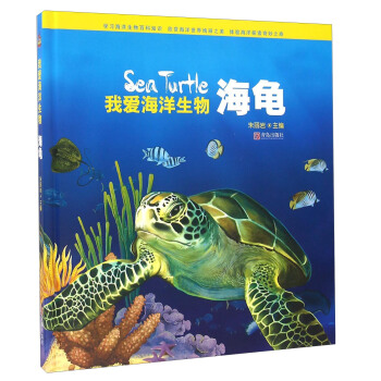 我爱海洋生物海龟