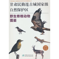 甘肃民勤连古城国家级自然保护区野生脊椎动物图鉴/甘肃民勤连古城国家级自然保护区科学考察系列丛书